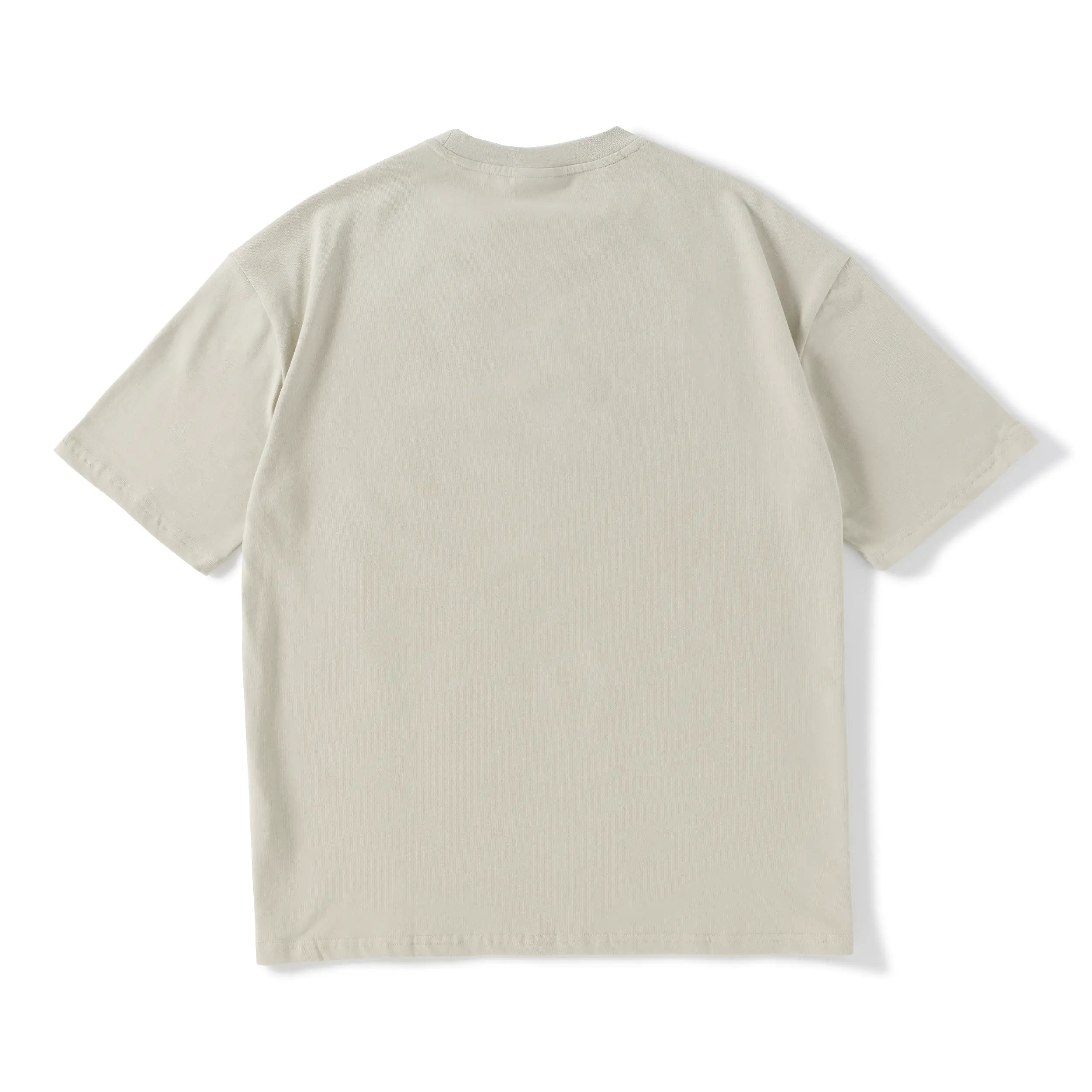 Pvot Core Classic T-shirts (Pastel Olive)